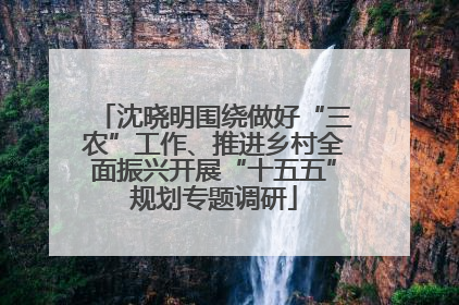 沈晓明围绕做好“三农”工作、推进乡村全面振兴开展“十五五”规划专题调研