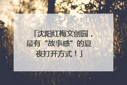 沈阳红梅文创园，最有“故事感”的夏夜打开方式！