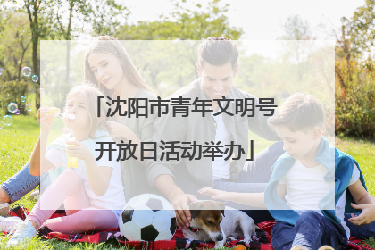 沈阳市青年文明号开放日活动举办