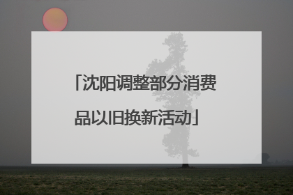 沈阳调整部分消费品以旧换新活动