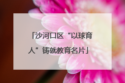 沙河口区“以球育人”铸就教育名片