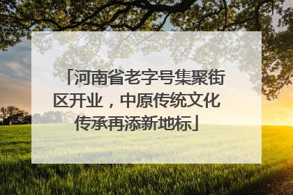 河南省老字号集聚街区开业，中原传统文化传承再添新地标