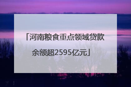河南粮食重点领域贷款余额超2595亿元