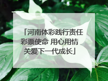 河南体彩践行责任彩票使命 用心用情关爱下一代成长