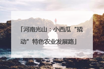 河南光山：小西瓜“撬动”特色农业发展路