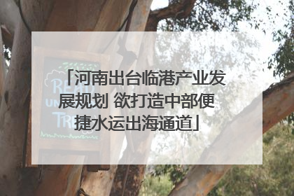河南出台临港产业发展规划 欲打造中部便捷水运出海通道