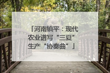 河南镇平：现代农业谱写“三夏”生产“协奏曲”