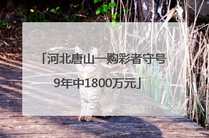 河北唐山一购彩者守号9年中1800万元