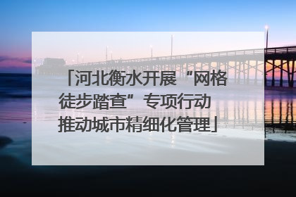 河北衡水开展“网格徒步踏查”专项行动 推动城市精细化管理