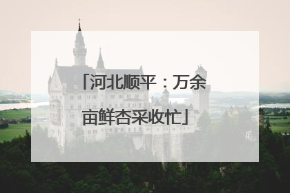 河北顺平：万余亩鲜杏采收忙