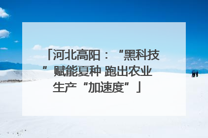 河北高阳：“黑科技”赋能夏种 跑出农业生产“加速度”
