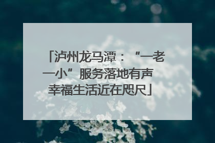 泸州龙马潭：“一老一小”服务落地有声 幸福生活近在咫尺