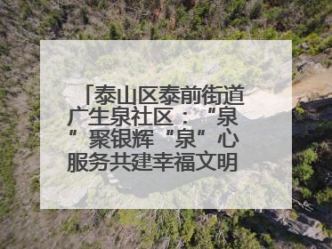 泰山区泰前街道广生泉社区：“泉”聚银辉“泉”心服务共建幸福文明和谐家园