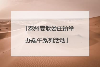 泰州姜堰娄庄镇举办端午系列活动