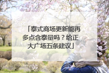 泰式商场更新能再多点含泰量吗？给正大广场五条建议