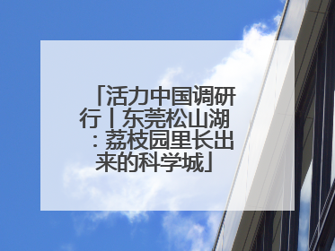 活力中国调研行丨东莞松山湖：荔枝园里长出来的科学城