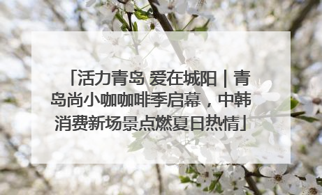 活力青岛 爱在城阳｜青岛尚小咖咖啡季启幕，中韩消费新场景点燃夏日热情