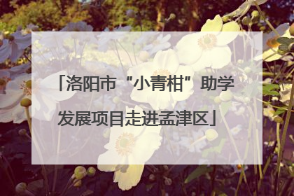 洛阳市“小青柑”助学发展项目走进孟津区