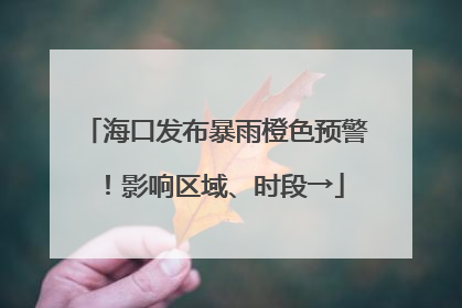 海口发布暴雨橙色预警！影响区域、时段→