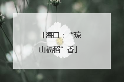 海口：“琼山福稻”香