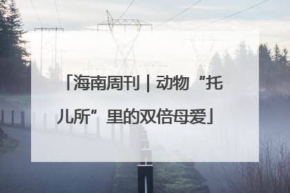 海南周刊｜动物“托儿所”里的双倍母爱