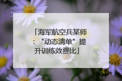 海军航空兵某师：“动态清单”提升训练效费比