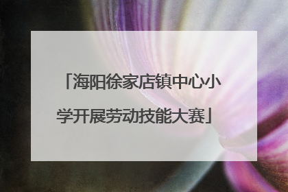 海阳徐家店镇中心小学开展劳动技能大赛