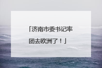 济南市委书记率团去欧洲了！