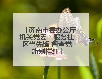 济南市委办公厅机关党委：服务社区当先锋 督查党旗别样红