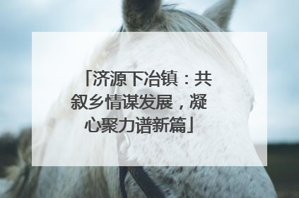 济源下冶镇：共叙乡情谋发展，凝心聚力谱新篇