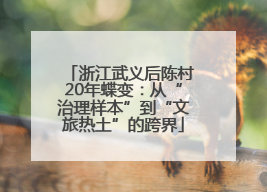 浙江武义后陈村20年蝶变：从“治理样本”到“文旅热土”的跨界