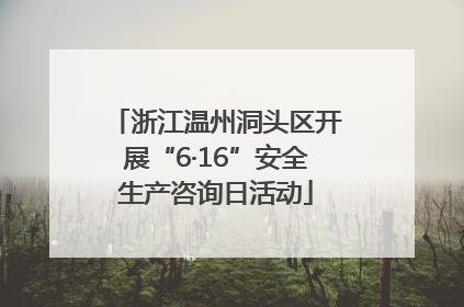浙江温州洞头区开展“6·16”安全生产咨询日活动