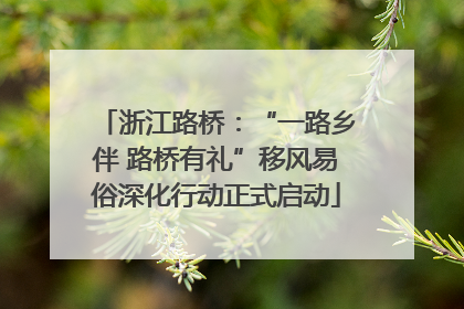 浙江路桥：“一路乡伴 路桥有礼”移风易俗深化行动正式启动