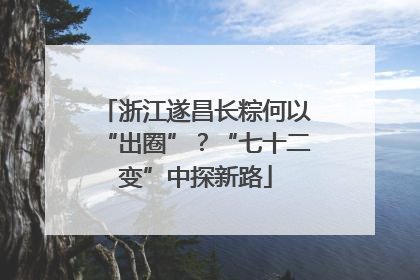 浙江遂昌长粽何以“出圈”？“七十二变”中探新路