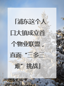浦东这个人口大镇成立首个物业联盟，直面“三多三难”挑战