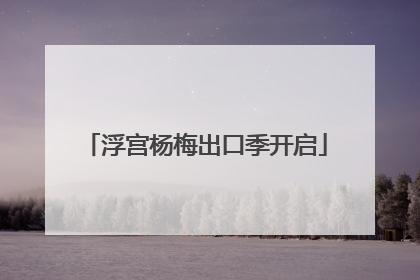 浮宫杨梅出口季开启