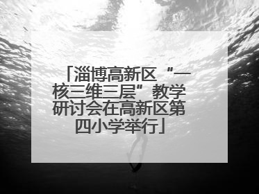 淄博高新区“一核三维三层”教学研讨会在高新区第四小学举行