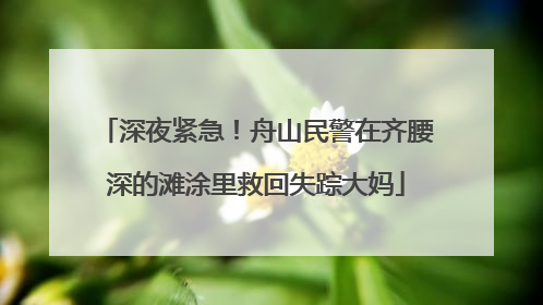 深夜紧急！舟山民警在齐腰深的滩涂里救回失踪大妈