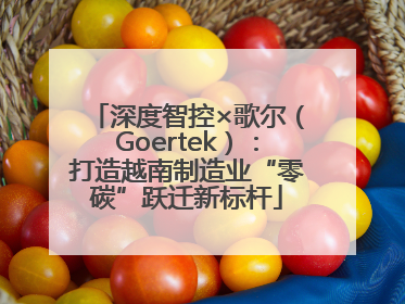 深度智控×歌尔（Goertek）：打造越南制造业“零碳”跃迁新标杆