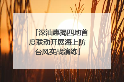 深汕惠揭四地首度联动开展海上防台风实战演练