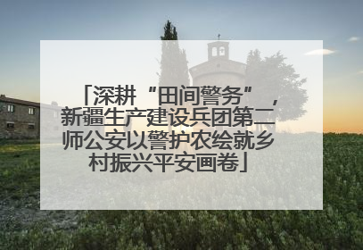 深耕“田间警务”，新疆生产建设兵团第二师公安以警护农绘就乡村振兴平安画卷