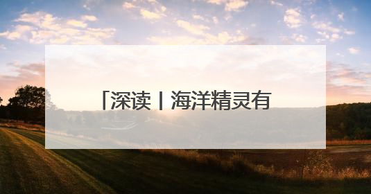 深读丨海洋精灵有了AI“管家”