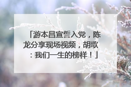 游本昌宣誓入党，陈龙分享现场视频，胡歌：我们一生的榜样！