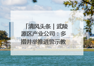 清风头条｜武陵源区产业公司：多措并举推进警示教育走深走实
