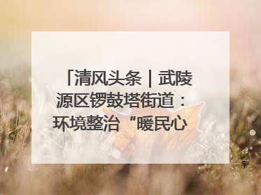 清风头条｜武陵源区锣鼓塔街道：环境整治“暖民心” 辖区面貌“靓”起来