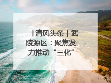 清风头条｜武陵源区：聚焦发力推动“三化”建设年行动