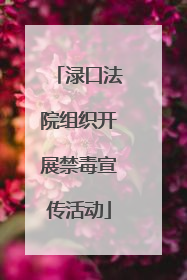 渌口法院组织开展禁毒宣传活动