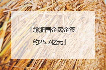 渝浙国企民企签约25.7亿元
