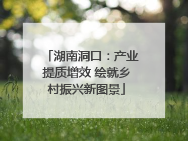 湖南洞口：产业提质增效 绘就乡村振兴新图景