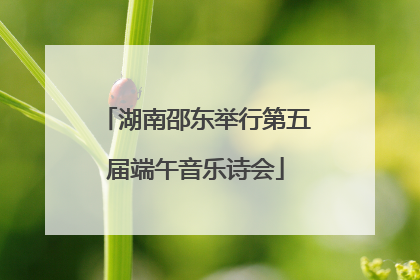 湖南邵东举行第五届端午音乐诗会